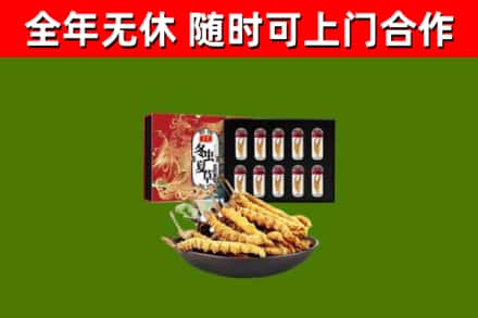 金坛区回收冬虫夏草价格
